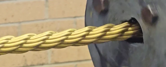 Decorative Brass Tube